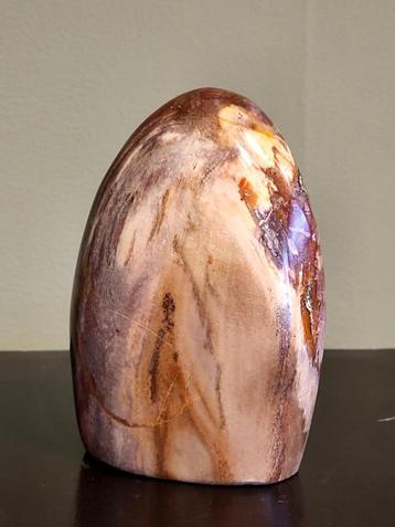 Versteend hout, sculptuur, 25,- euro, topkwaliteit beschikbaar voor biedingen