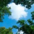 FOTOPRINT afbeelding wolk-bos verdeeld, Ophalen of Verzenden
