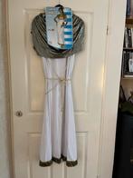 Griekse godin, Ophalen of Verzenden, Zo goed als nieuw, Carnaval