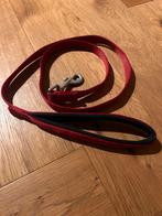 Hondenriem (puppy), Dieren en Toebehoren, Ophalen of Verzenden, Nieuw