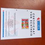 Schilderij Liz - Bath Party Dames in Bad Abstract 70x50xcm, Antiek en Kunst, Ophalen of Verzenden