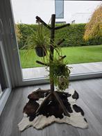 Houten Plantenstandaard, Tuin en Terras, Ophalen, Tuin, Gebruikt, Minder dan 60 cm