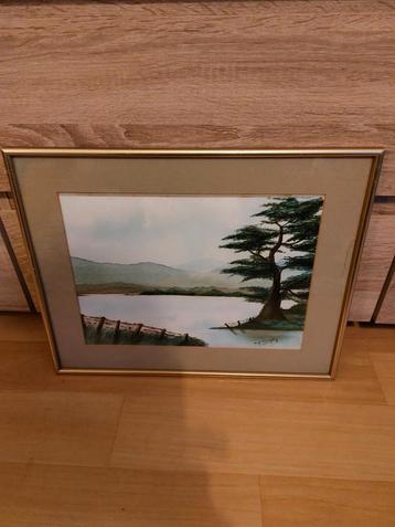 Schilderij ierland The Blessingtons Lake 💥Margaret Murphy beschikbaar voor biedingen