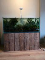 Mooi open aquarium compleet, Dieren en Toebehoren, Ophalen of Verzenden, Gebruikt, Leeg aquarium
