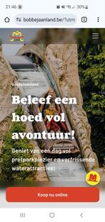 4x 40% korting Bobbejaanland op (max 4 of 8) tickets, Drie personen of meer, Kortingskaart