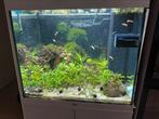 Jewel aquarium 120 lt, Dieren en Toebehoren, Vissen | Aquaria en Toebehoren, Ophalen of Verzenden, Zo goed als nieuw, Leeg aquarium