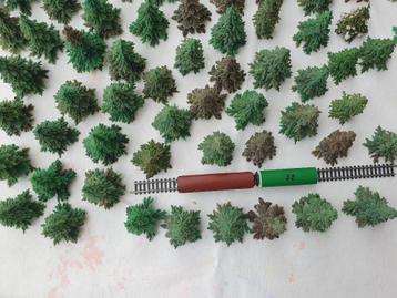 dennenbomen beschikbaar voor biedingen