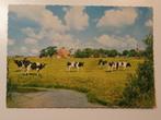 Mooi Fryslan / Friesland 28 Koeien, Verzenden, 1960 tot 1980, Ongelopen, Friesland