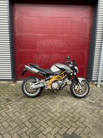 Aprilia Shiver 750 Lage tellerstand, Motoren, Motoren | Aprilia, 750 cc, Bedrijf, Meer dan 35 kW, Toermotor