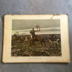 Schoolplaat In de Siberische vlakte – Koekkoek 1950, Antiek en Kunst, Antiek | Schoolplaten, Ophalen of Verzenden, Natuur en Biologie