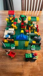 Leuke Duplo Dierentuin met Grondplaat, Ophalen of Verzenden, Gebruikt, Complete set, Duplo