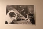 Z/w Honden Postkaart - Foxterrier en Poes, Katten, France, 1960 tot 1980, Ongelopen, Verzenden, Hond of Kat