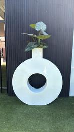 **Grote plantenbak 1.20m hoog **, Ophalen, Minder dan 60 cm, Rond, Binnen