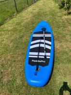 Sup Boards te huur | Earnewâld | 2 stuks |, Ophalen, Gebruikt, SUP-boards