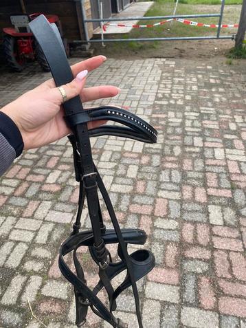 Hoofdstel beschikbaar voor biedingen