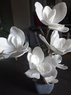 Magnolia in potje.  ( kunst ), Ophalen, Nieuw, Binnen