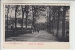 Alkmaar, Heerenlaan - Geestersingel - Bergerhout, Ophalen of Verzenden, Voor 1920, Ongelopen, Noord-Holland
