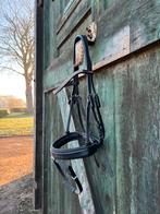 Hoofdstel maat cob, Dieren en Toebehoren, Verzenden, Nieuw