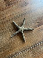 Zeester beeldje, Verzamelen, Ophalen of Verzenden, Zo goed als nieuw, Dier