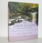 Jill Briscoe - De diepe plaats waar niemand komt, Boeken, Ophalen of Verzenden, Zo goed als nieuw, Christendom | Protestants