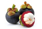 ***GEZOCHT*** Mangosteenboompje- Garcinia Mangostana, Ophalen of Verzenden, Minder dan 100 cm, Overige soorten