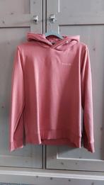 Raizzed Hoodie maat 164, Trui of Vest, Ophalen of Verzenden, Zo goed als nieuw, Raizzed