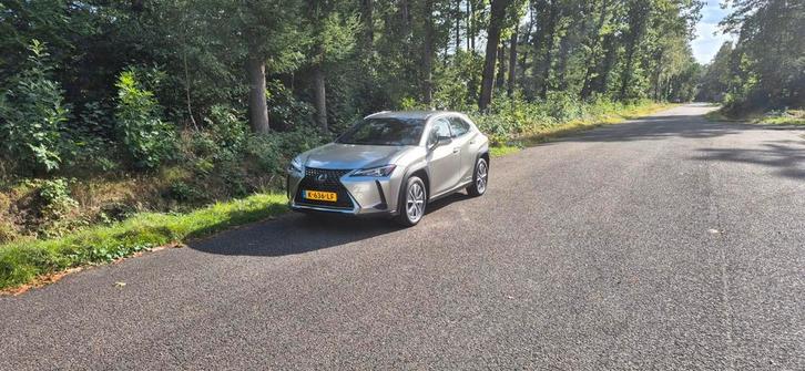 Lexus UX 300e 204pk Aut 2020 Grijs, Auto's, Lexus, Particulier, UX, ABS, Achteruitrijcamera, Adaptieve lichten, Adaptive Cruise Control