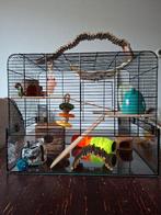 Hamsterkooi, Dieren en Toebehoren, Knaagdieren en Konijnen | Hokken en Kooien, Kooi, Gebruikt, Minder dan 75 cm, Hamster