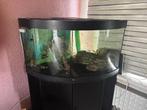 Juwel Aquarium, Dieren en Toebehoren, Vissen | Aquaria en Toebehoren, Ophalen, Gebruikt, Leeg aquarium
