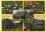 908286	Asten	N Br Natuurstudiecentrum Museum Kruidentuin	Net, Verzamelen, Ansichtkaarten | Nederland, Ophalen of Verzenden, Ongelopen
