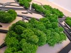 Mosschilderij - heksagon -boom, Huis en Inrichting, Woonaccessoires | Wanddecoraties, 5411EN Gameren, Nieuw, Ophalen of Verzenden
