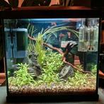 Superfish Start 30 Tropical Kit Zwart met extra's, Dieren en Toebehoren, Vissen | Aquaria en Toebehoren, Ophalen, Zo goed als nieuw