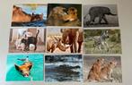 9 kaartjes van De stulp wilde dieren, Verzamelen, Ophalen of Verzenden, 1980 tot heden, Ongelopen, Wild dier