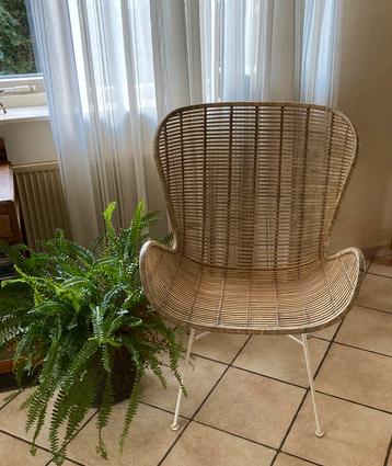 Rotan vlinderstoel met witte poten beschikbaar voor biedingen
