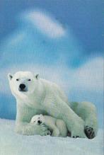 Ansichtkaart	IJsbeer	WWF, Verzamelen, Verzenden, 1980 tot heden, Gelopen, Wild dier