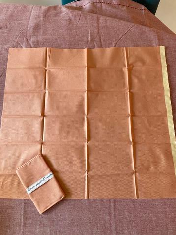 2 Stuks Katoen - 55x50 cm - Oranje beschikbaar voor biedingen