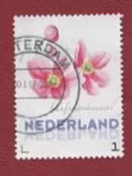 3013 - Pers.z - Bloem  - Herfstanemoon - gebr (pst. ...rdam), Postzegels en Munten, Postzegels | Nederland, Ophalen of Verzenden