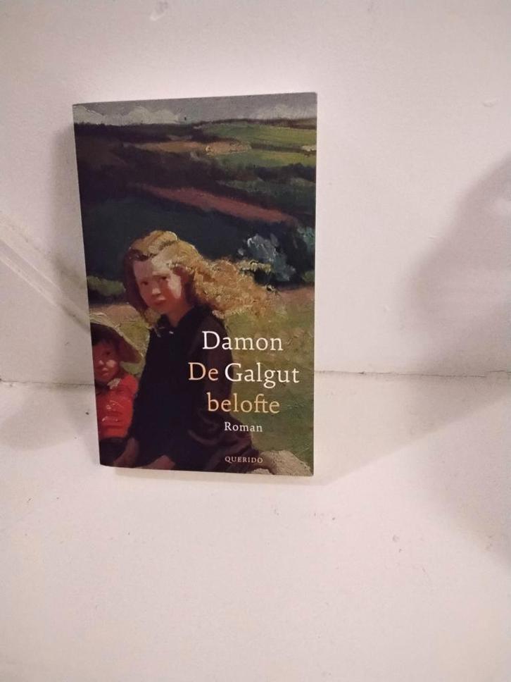 Damon Galgut - De belofte, Boeken, Literatuur, Gelezen, Ophalen of Verzenden