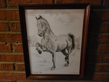 NICKERY BOY.    TEKENING  beschikbaar voor biedingen