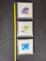 3 Zilveren Lijstjes met Bloemenprenten, Ophalen, Gebruikt, Metaal of Aluminium, Minder dan 50 cm
