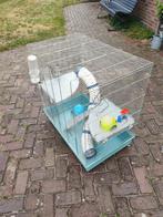 Cavia/hamster/muizen/ratten kooi, Dieren en Toebehoren, Knaagdieren en Konijnen | Hokken en Kooien, Ophalen, Kooi, Gebruikt, Hamster