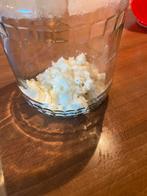 Kefir plant gratis, Ophalen