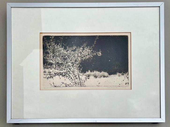 Ets van Kees Roosenboom Heliogravure Meidoorntak 22/30, Antiek en Kunst, Kunst | Schilderijen | Klassiek, Ophalen