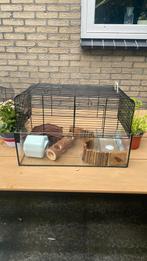 Hamster hok/kooi, Dieren en Toebehoren, Minder dan 75 cm, Zo goed als nieuw, Ophalen, Minder dan 60 cm