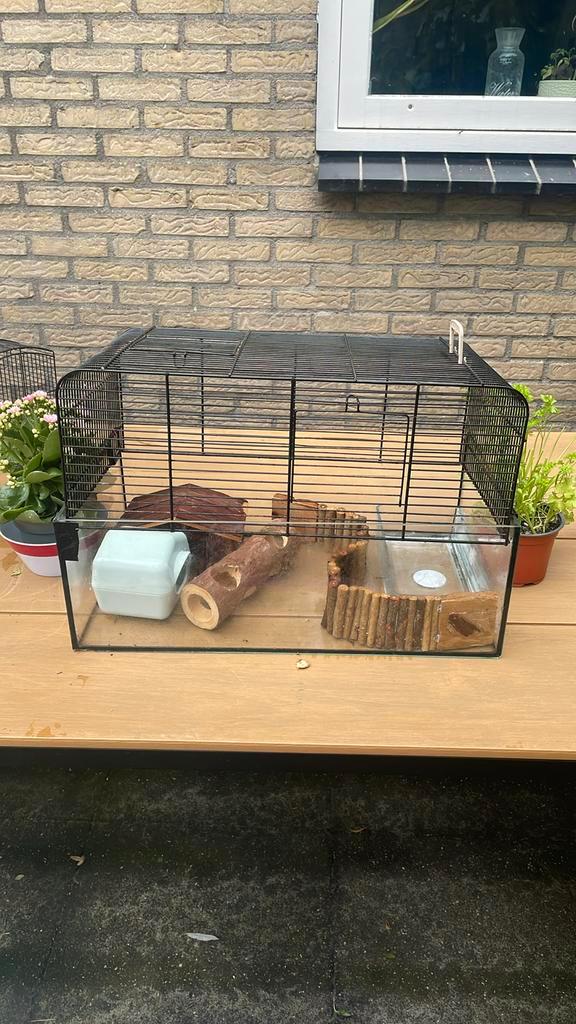 Hamster hok/kooi, Dieren en Toebehoren, Knaagdieren en Konijnen | Hokken en Kooien, Zo goed als nieuw, Hok, Minder dan 60 cm, Minder dan 75 cm