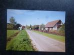 BORNERBROEK  schapendrift  Grootformaat    F, Verzamelen, Ansichtkaarten | Nederland, Ophalen of Verzenden, 1980 tot heden, Overijssel
