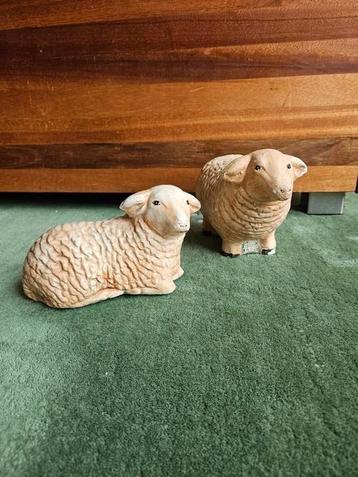 twee schapen beschikbaar voor biedingen