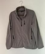 Dames vest grijs / L, Ophalen of Verzenden, Zo goed als nieuw, Maat 42/44 (L), Grijs