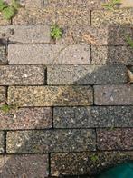 Gratis 20m2 klinkers, Tuin en Terras, Tegels en Klinkers, Ophalen, Gebruikt, Klinkers, 10 m² of meer