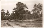 Dwingeloo, Landweg in de bosschen, Verzamelen, Ansichtkaarten | Nederland, Gelopen, 1960 tot 1980, Drenthe, Verzenden